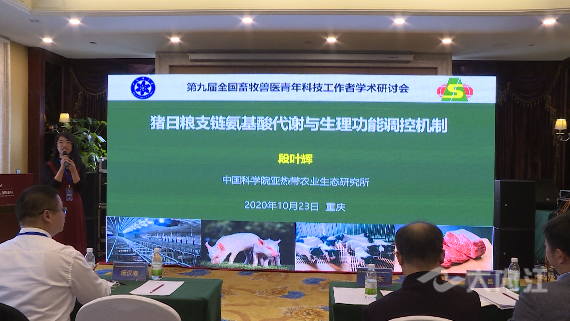 图片13.png