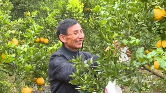 微信图片_20201104162513.png