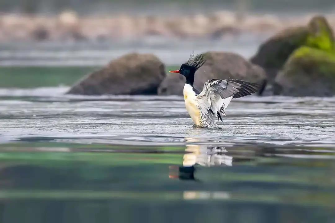 微信图片_20201119203223.jpg
