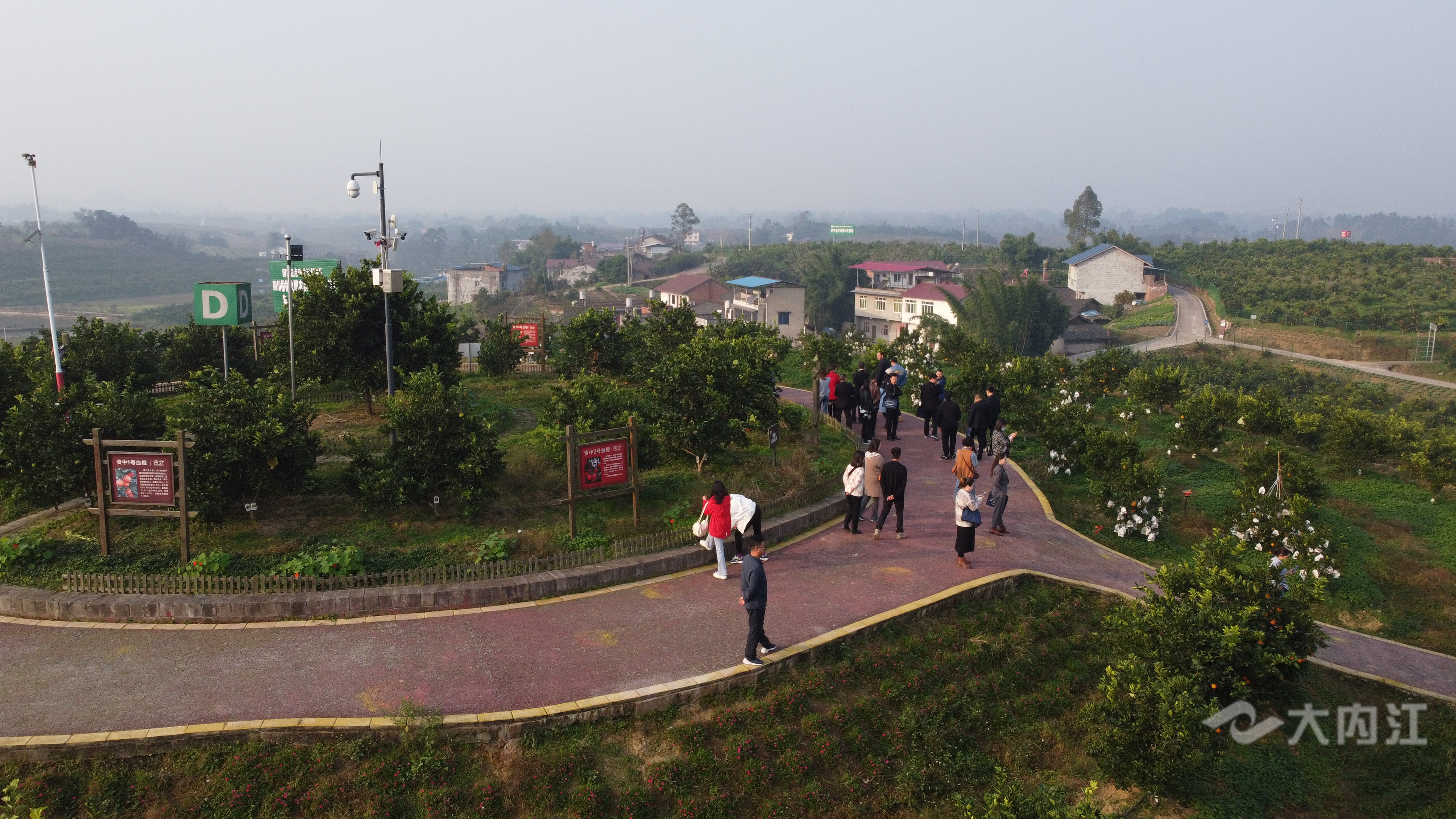 DJI_0121.JPG