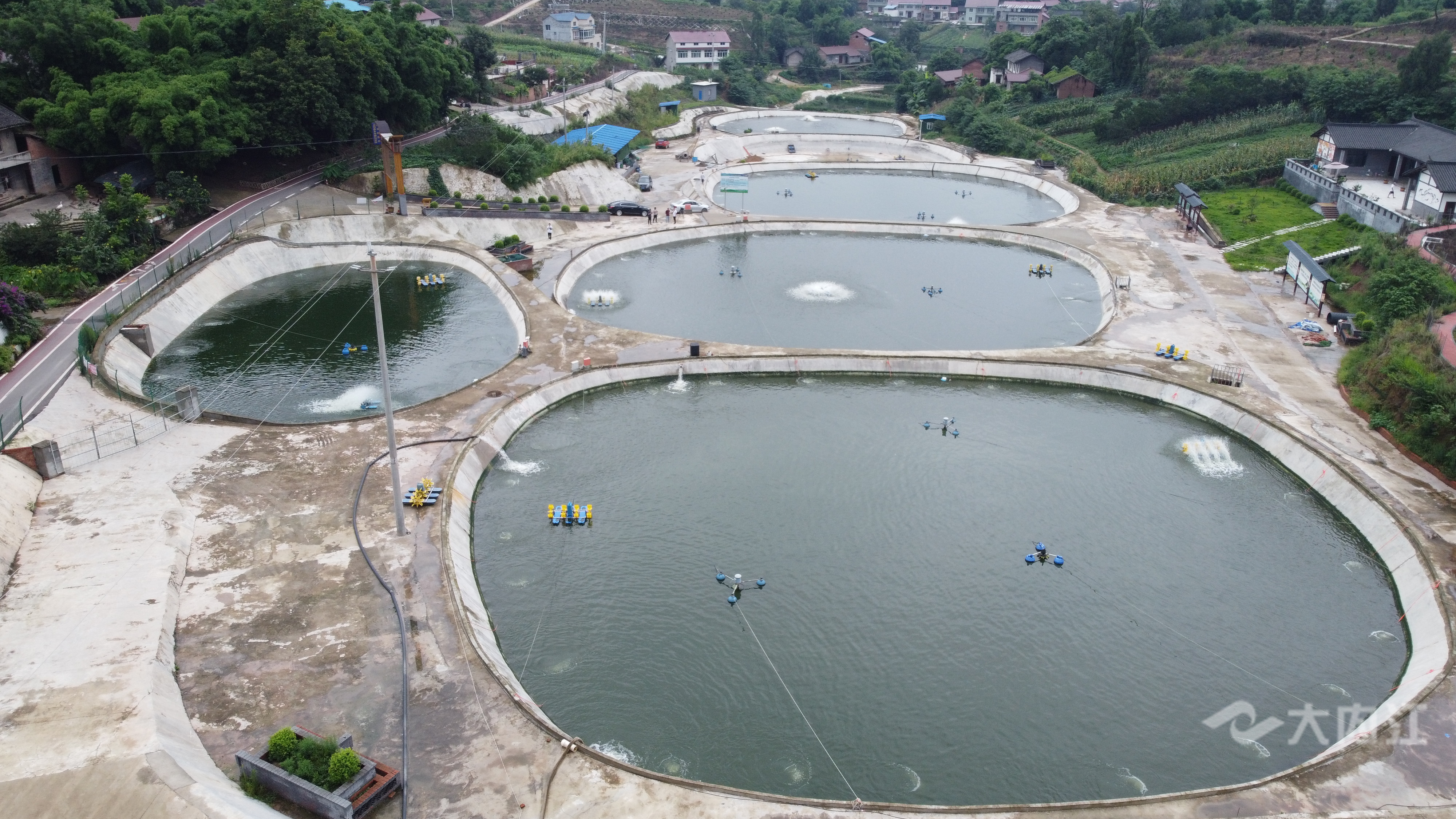 DJI_0267.JPG