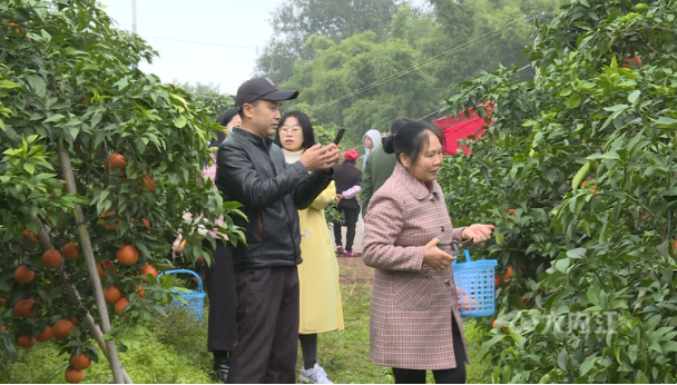 281876_1606005691508279.png 微信图片_20201122085020.png