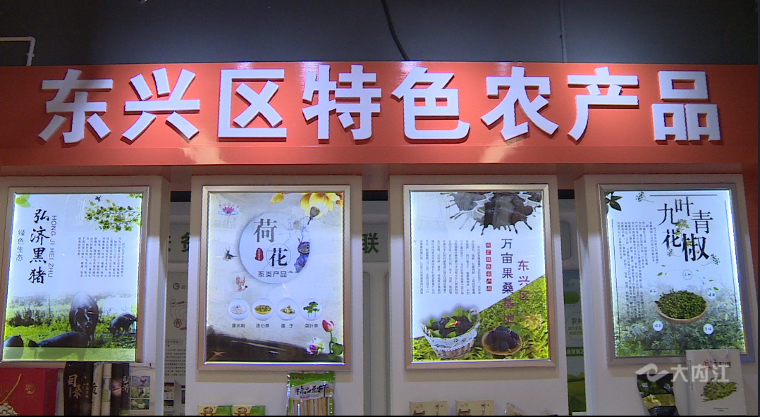 黑猪1.png