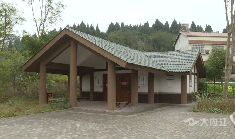 小青龙4.jpg