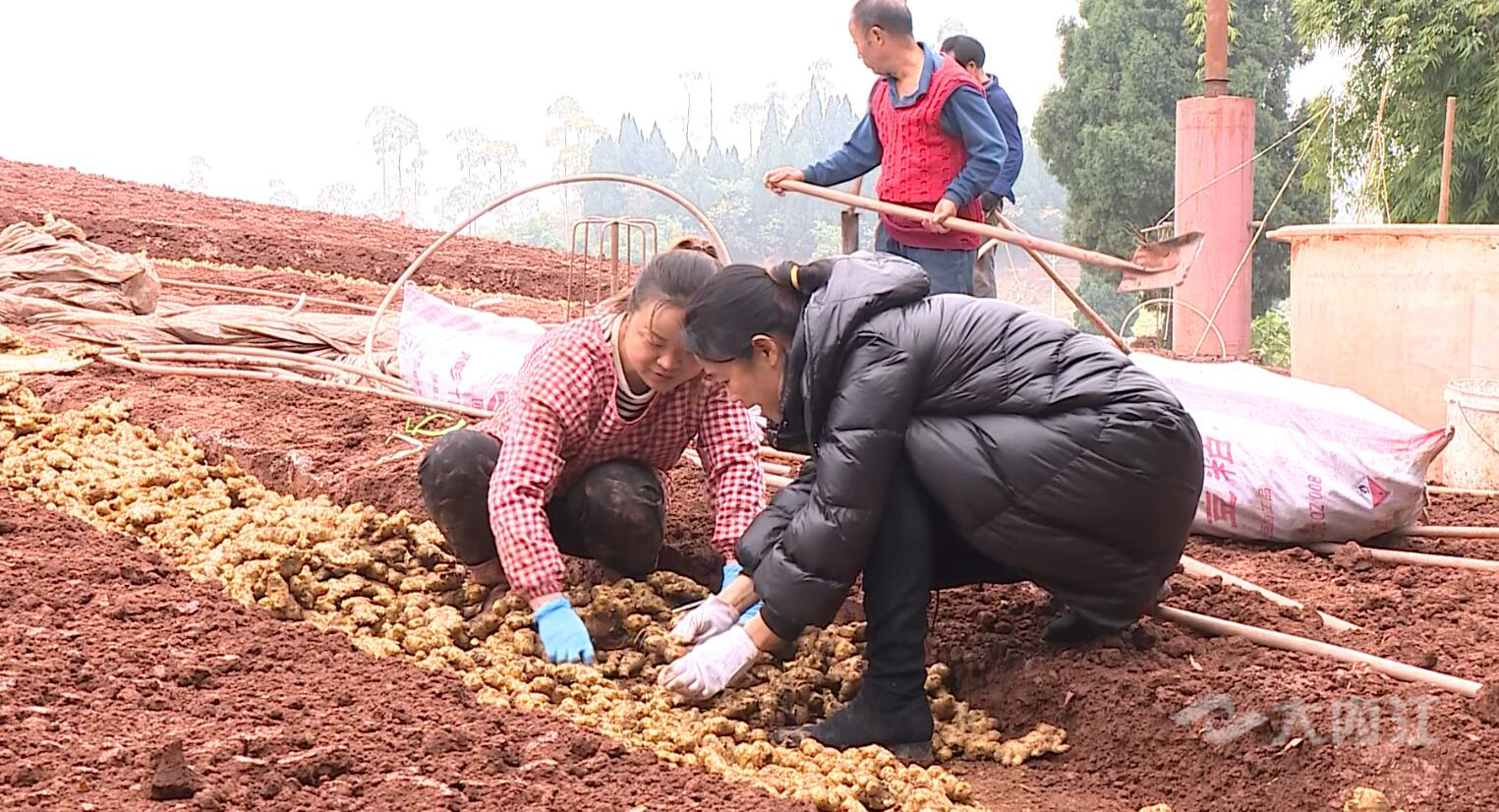 QQ图片20201209203832.jpg
