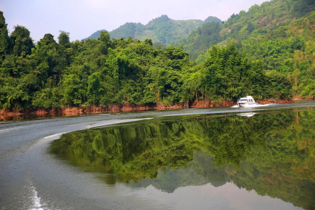 281606_1611968882495627.jpg 微信图片_20210130090314.jpg