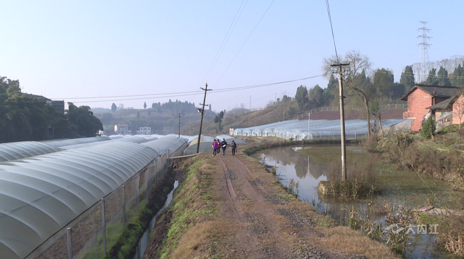 281876_1611303291156289.png QQ图片20210122081945.png