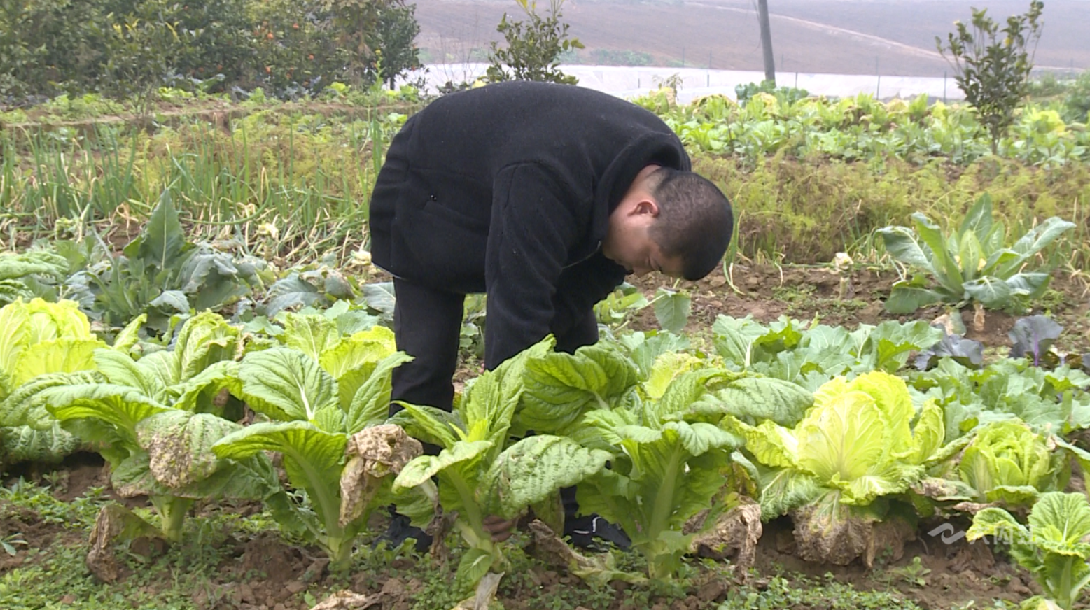 281876_1611539159742900.png 微信图片_20210124204342.png