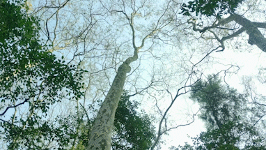 281876_1611539410952226.gif 微信图片_20210125094853.gif