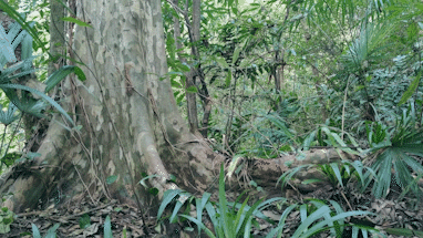 281876_1611539431517213.gif 微信图片_20210125094858.gif