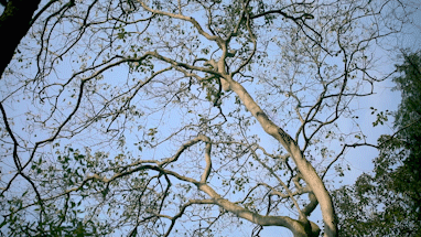 281876_1611539444158121.gif 微信图片_20210125094902.gif