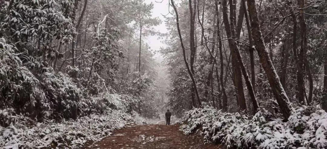 雪2.jpg