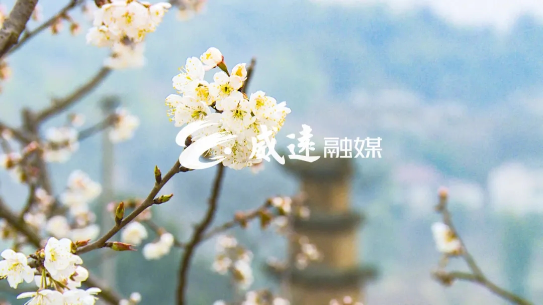 269955_1613269851153528.jpg 9.webp.jpg