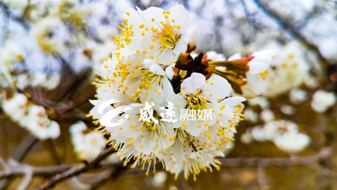 269955_1613269891741608.jpg 13.webp.jpg