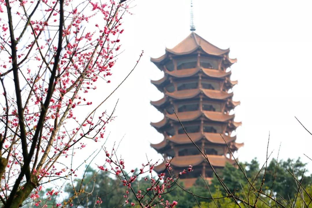 重庆12.jpg