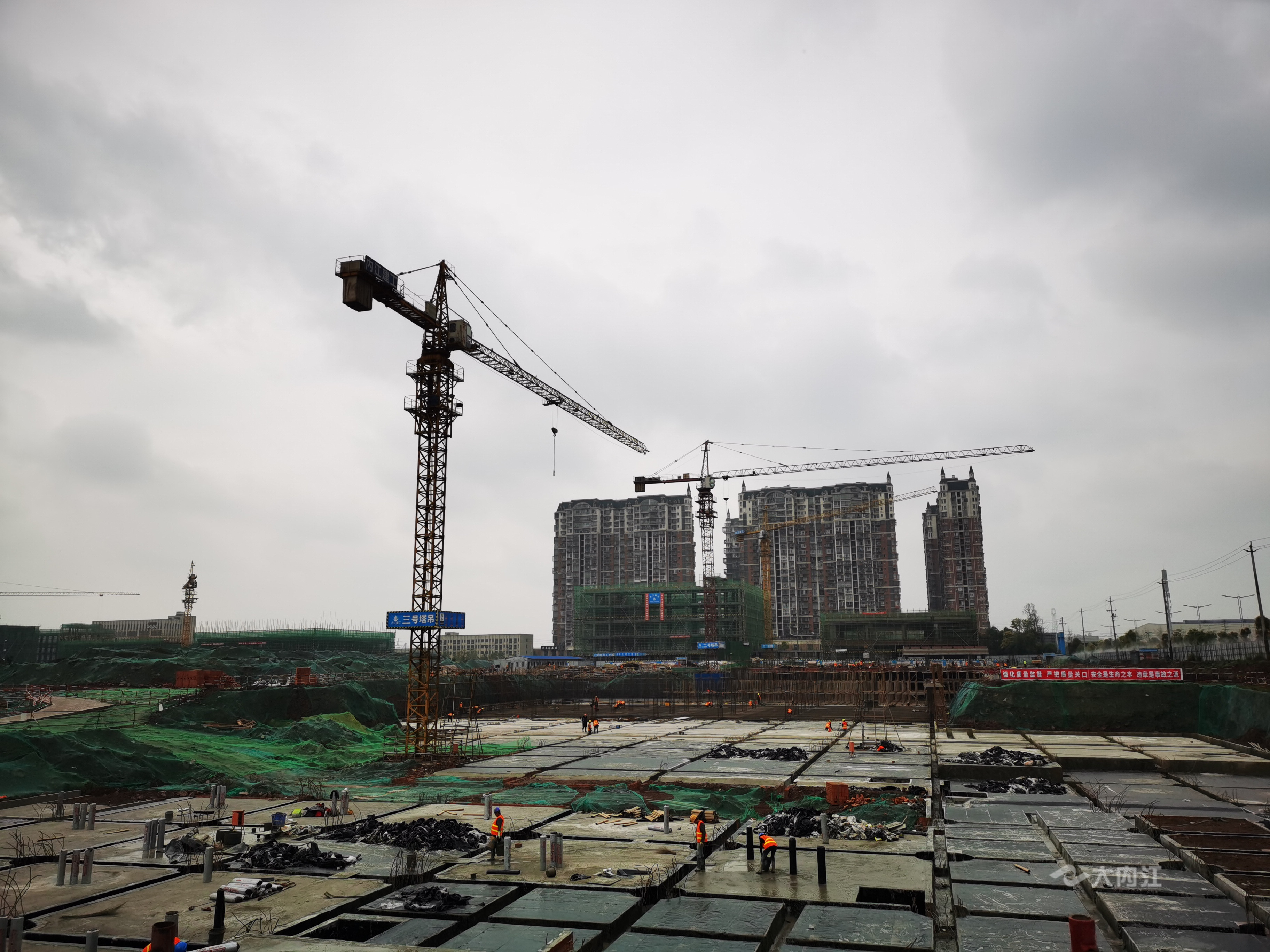 QQ图片20210310220813.jpg
