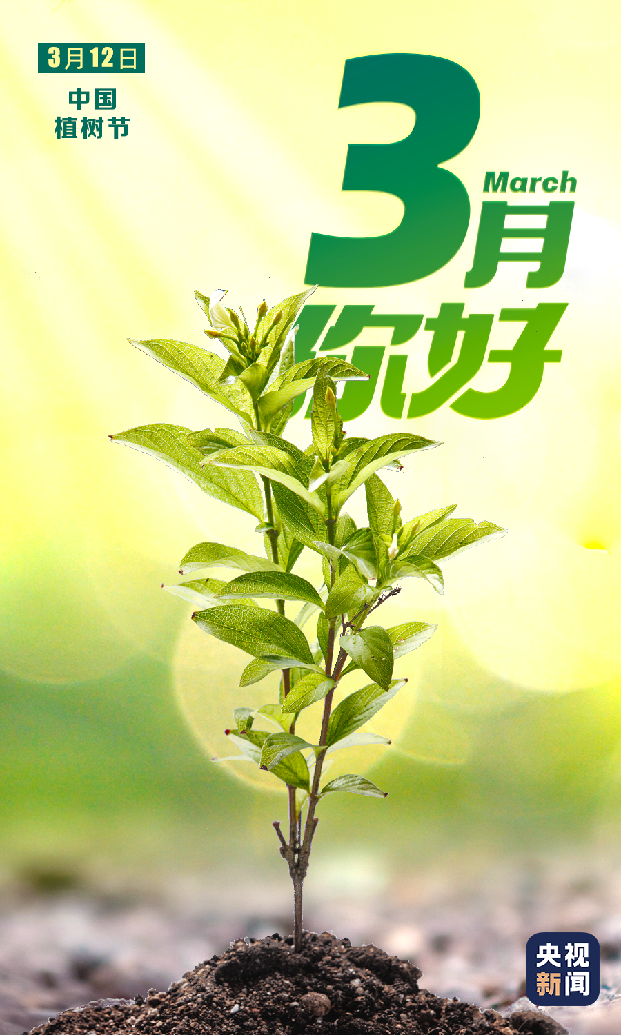 3yue6.png
