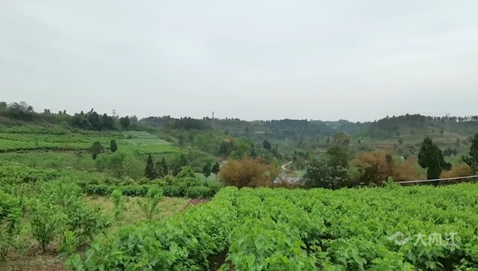 281877_1617700127242270.png 15.png