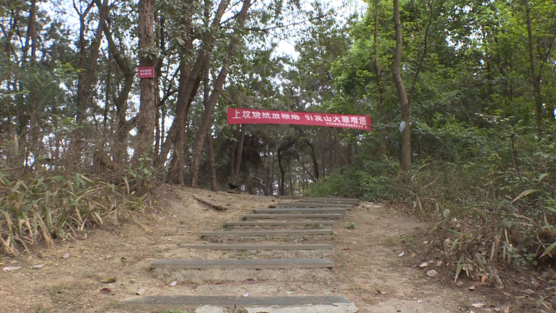 281921_1617287144552591.bmp 281921_1617287144552591.bmp