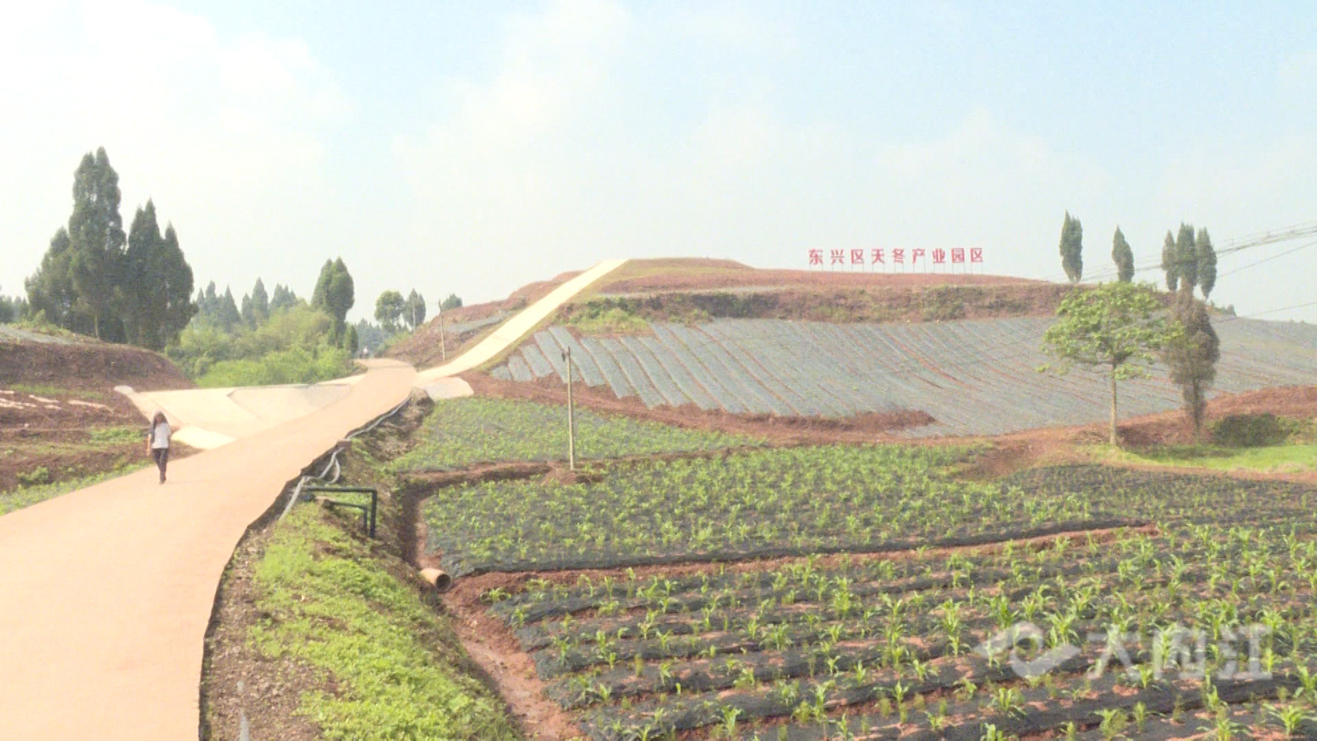 281876_1620701656780964.jpg 微信图片_20210511104907.jpg