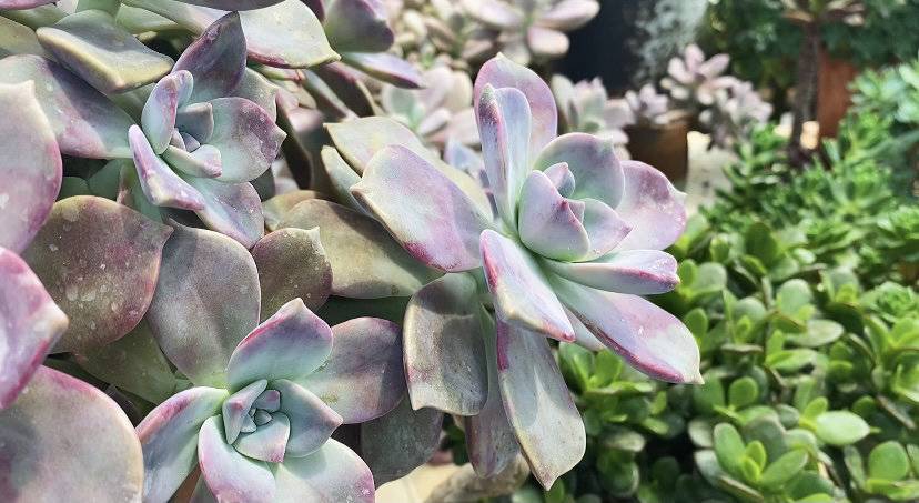 286144_1620740143129074.jpg 微信图片_20210511213520.jpg