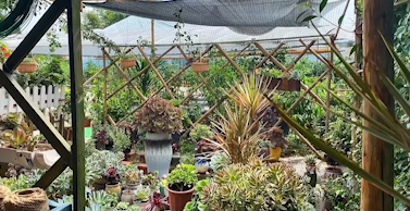 286144_1620740412753636.png 微信截图_20210511213911.png