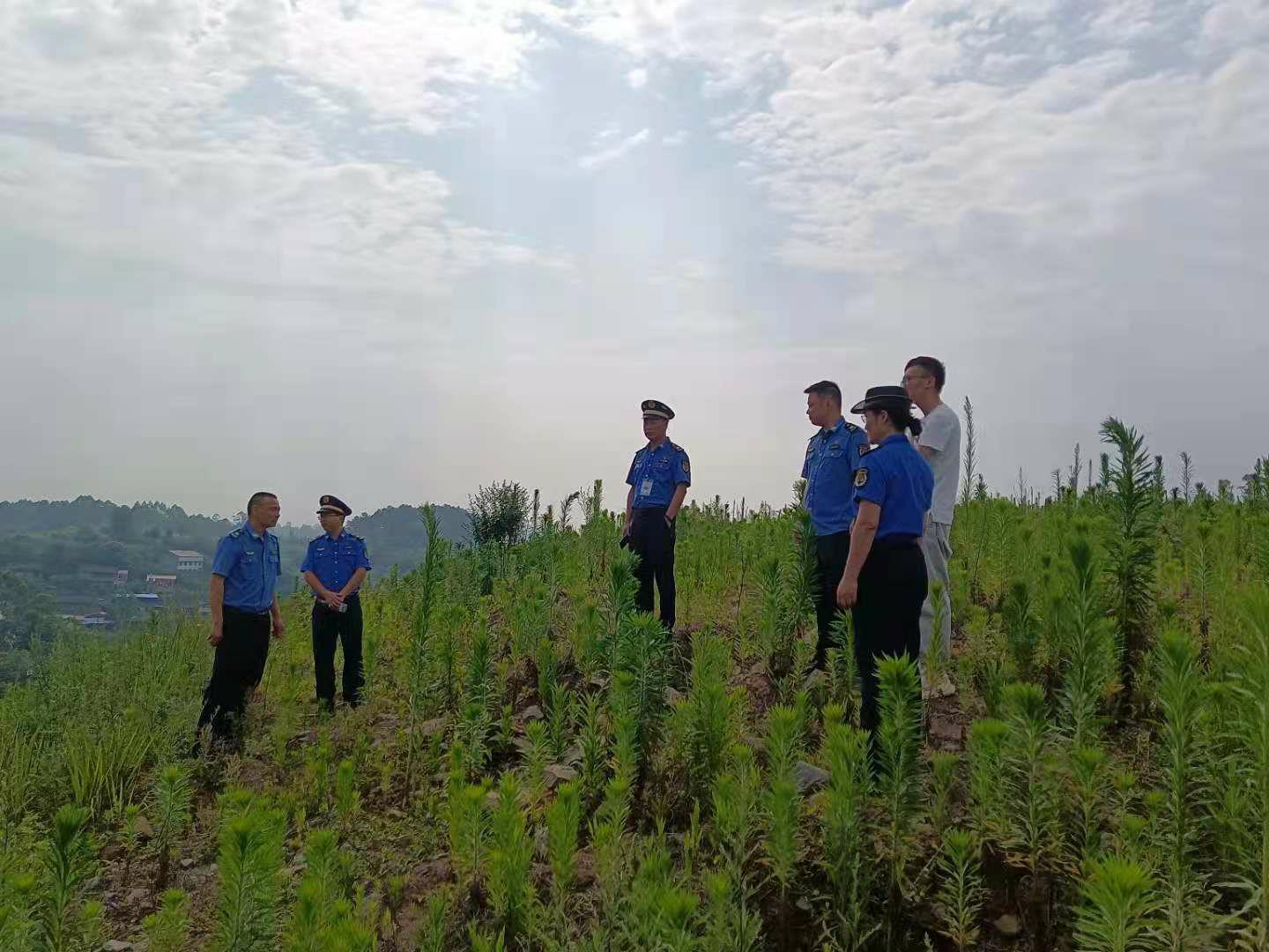 福特翼虎哪所大学2.jpg