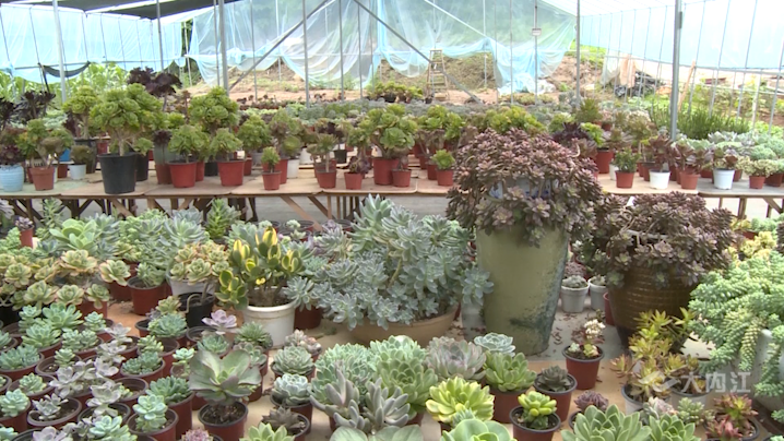 282035_1622705018979252.png 微信图片_20210603152208.png