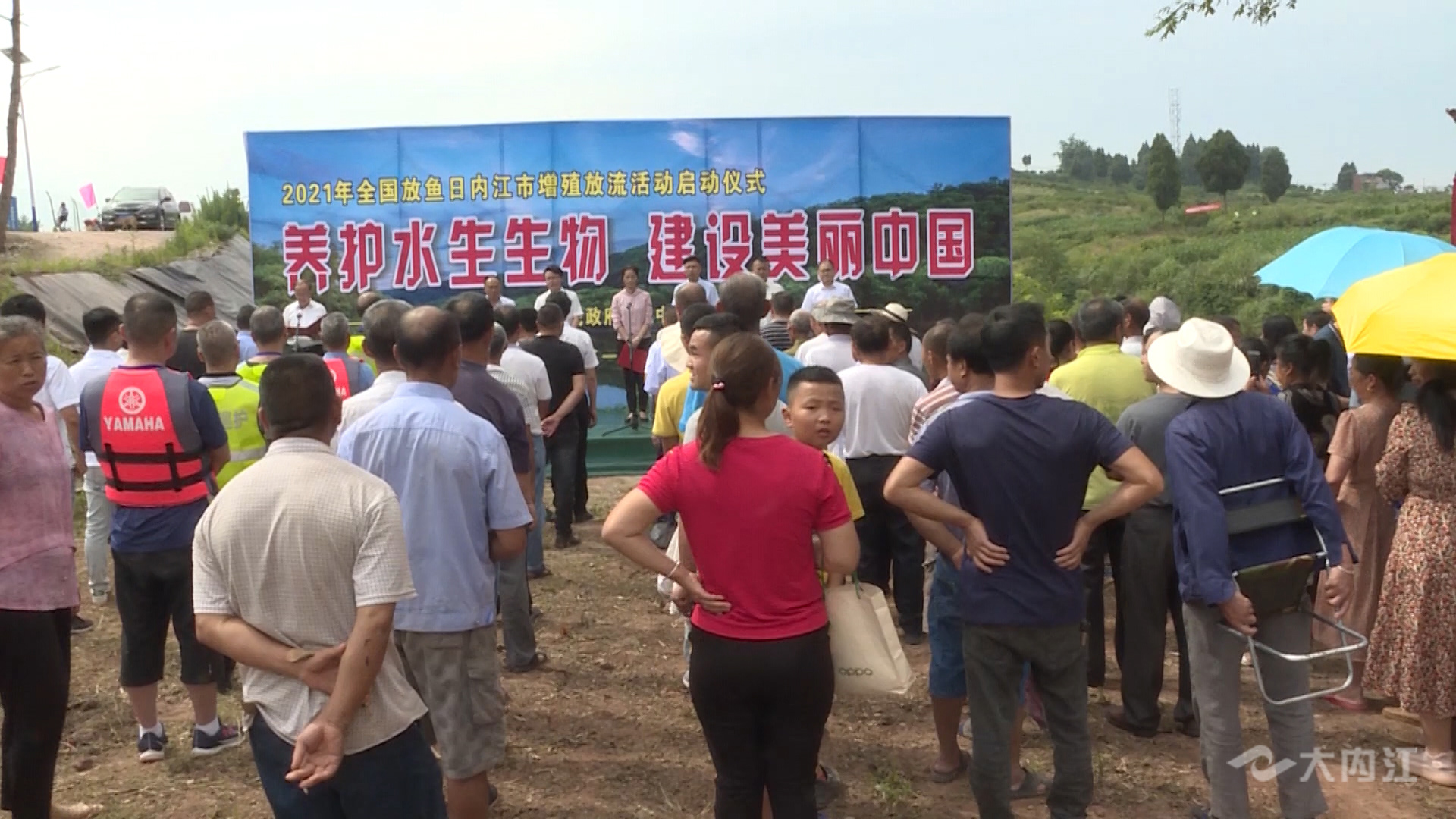 286258_1622978924682342.jpg 1.jpg