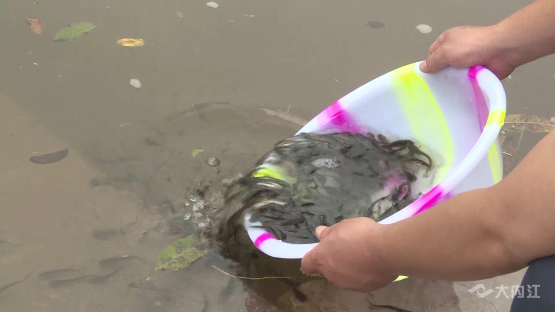 286258_1622978981474486.jpg 4.jpg