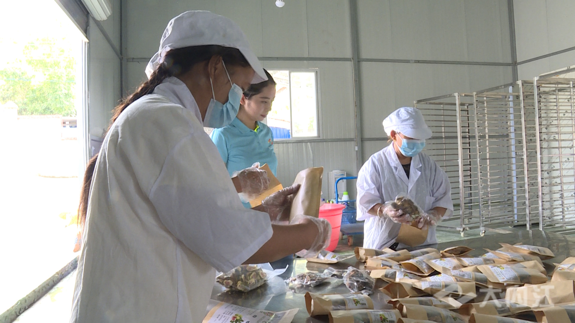 281876_1629963200478925.jpg 微信图片_20210826153124.jpg