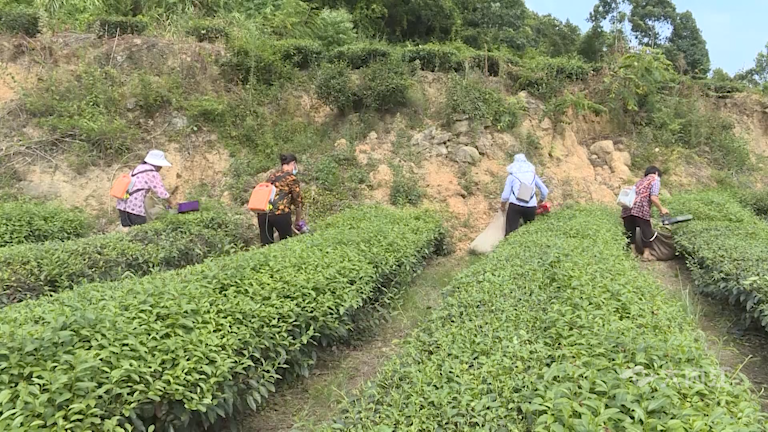 282035_1629271270481954.png 微信图片_20210818151834.png