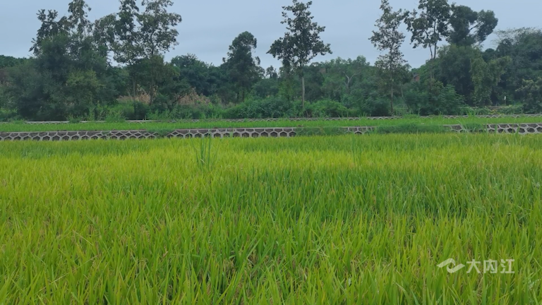 282035_1629278097390241.png 微信图片_20210818171426.png