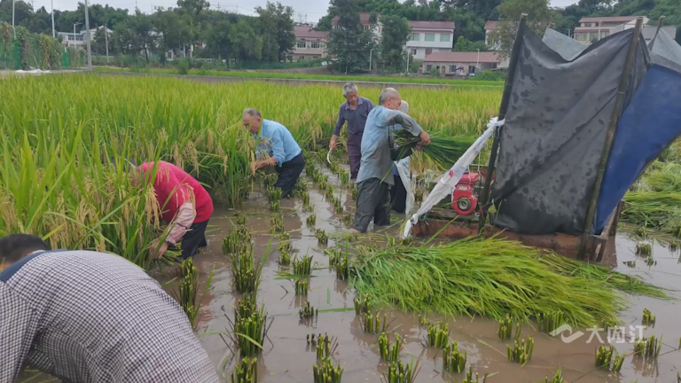 282035_1629278105934209.png 微信图片_20210818171429.png