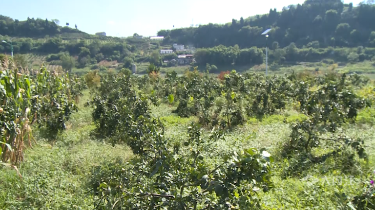 282035_1629344559606161.png 微信图片_20210819114040.png