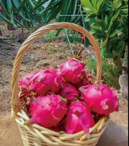 286034_1629161323865694.jpg 微信图片_20210817084718.jpg