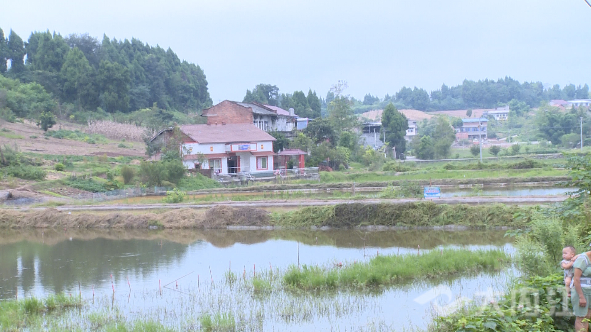 281876_1632454567823193.jpg 微信图片_20210924113309.jpg