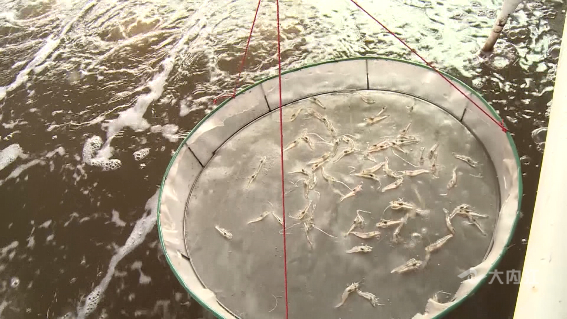 282035_1631520295752442.jpg 微信图片_20210913160202.jpg