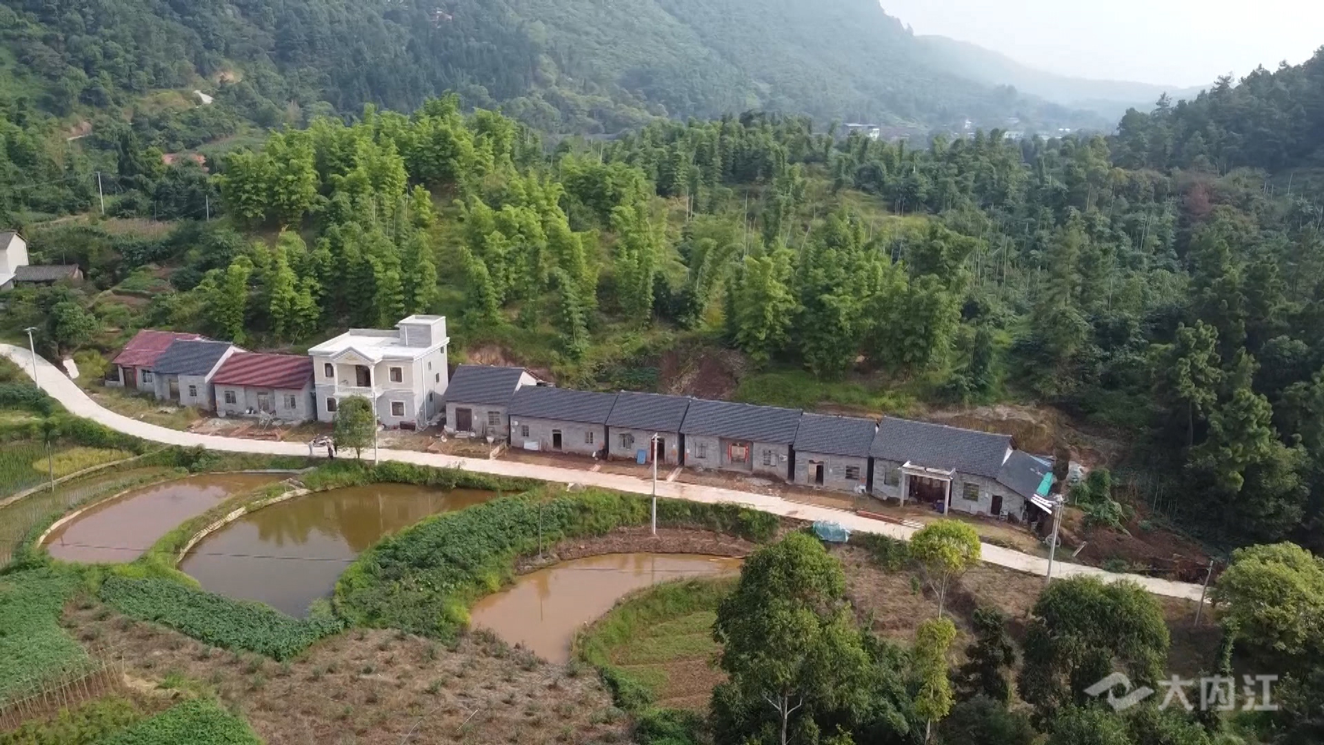 286258_1632539835159873.jpg 3.jpg