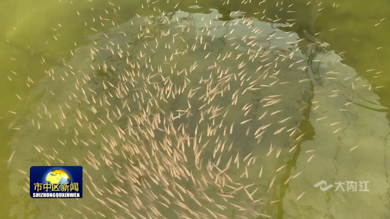 282035_1633943469184525.png 微信图片_20211011170904.png