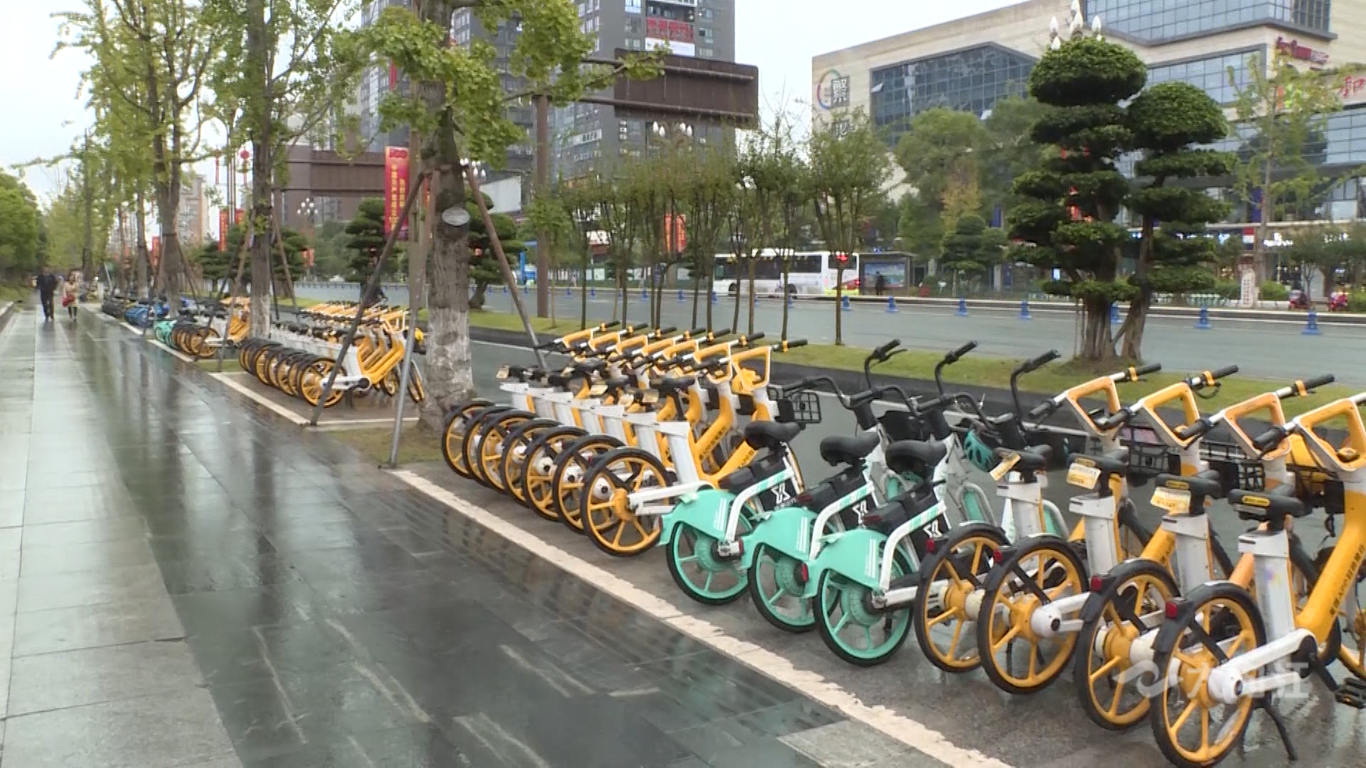 282035_1634023388836796.jpg 微信图片_20211012152011.jpg