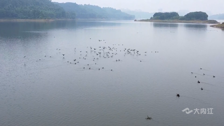 282035_1636700994707994.png 微信图片_20211112150906.png