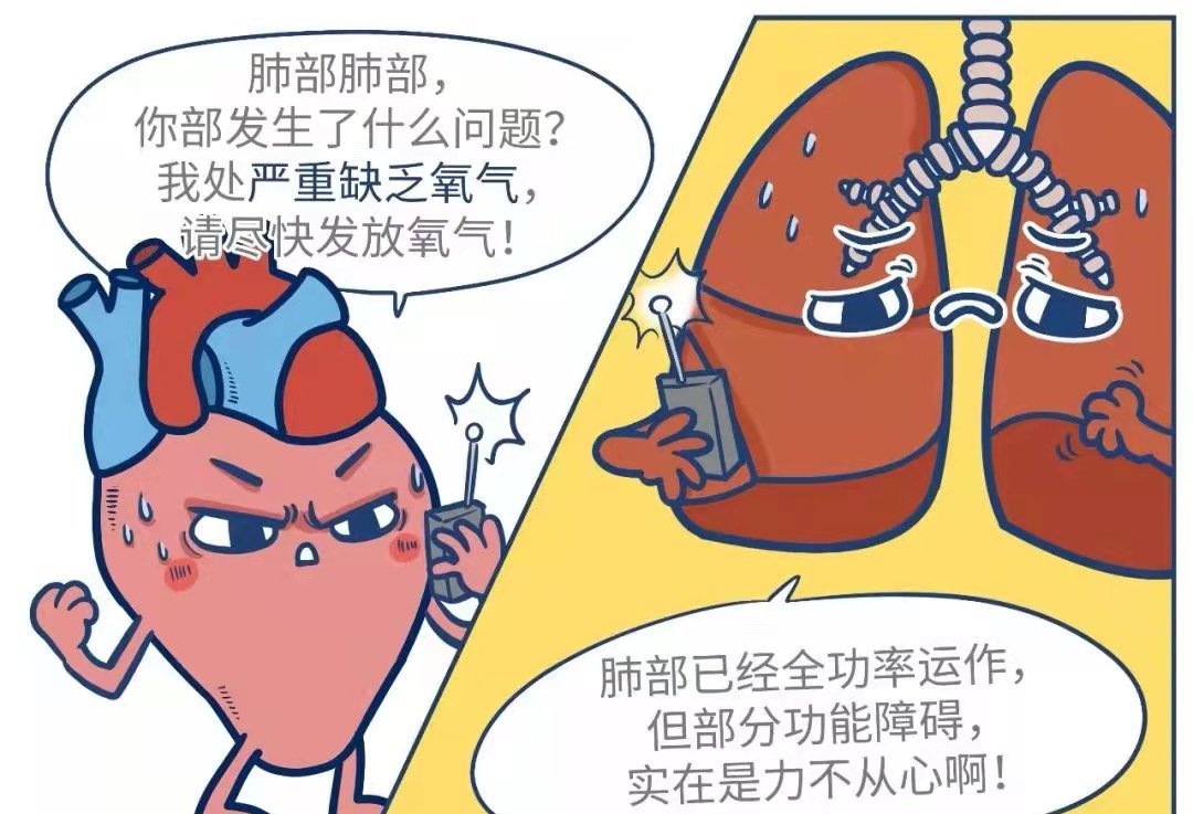 283234_1636960025906848.jpg 图3.jpg