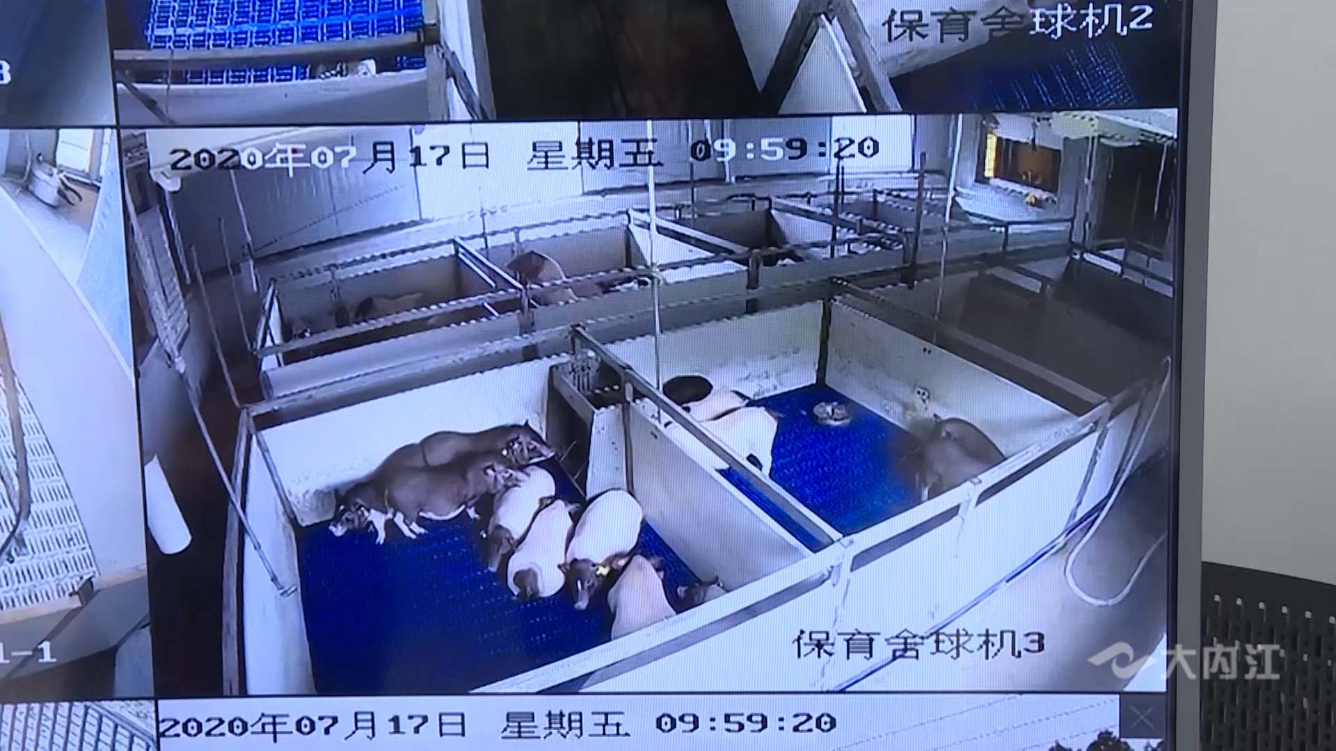 微信图片_20211222154902.jpg