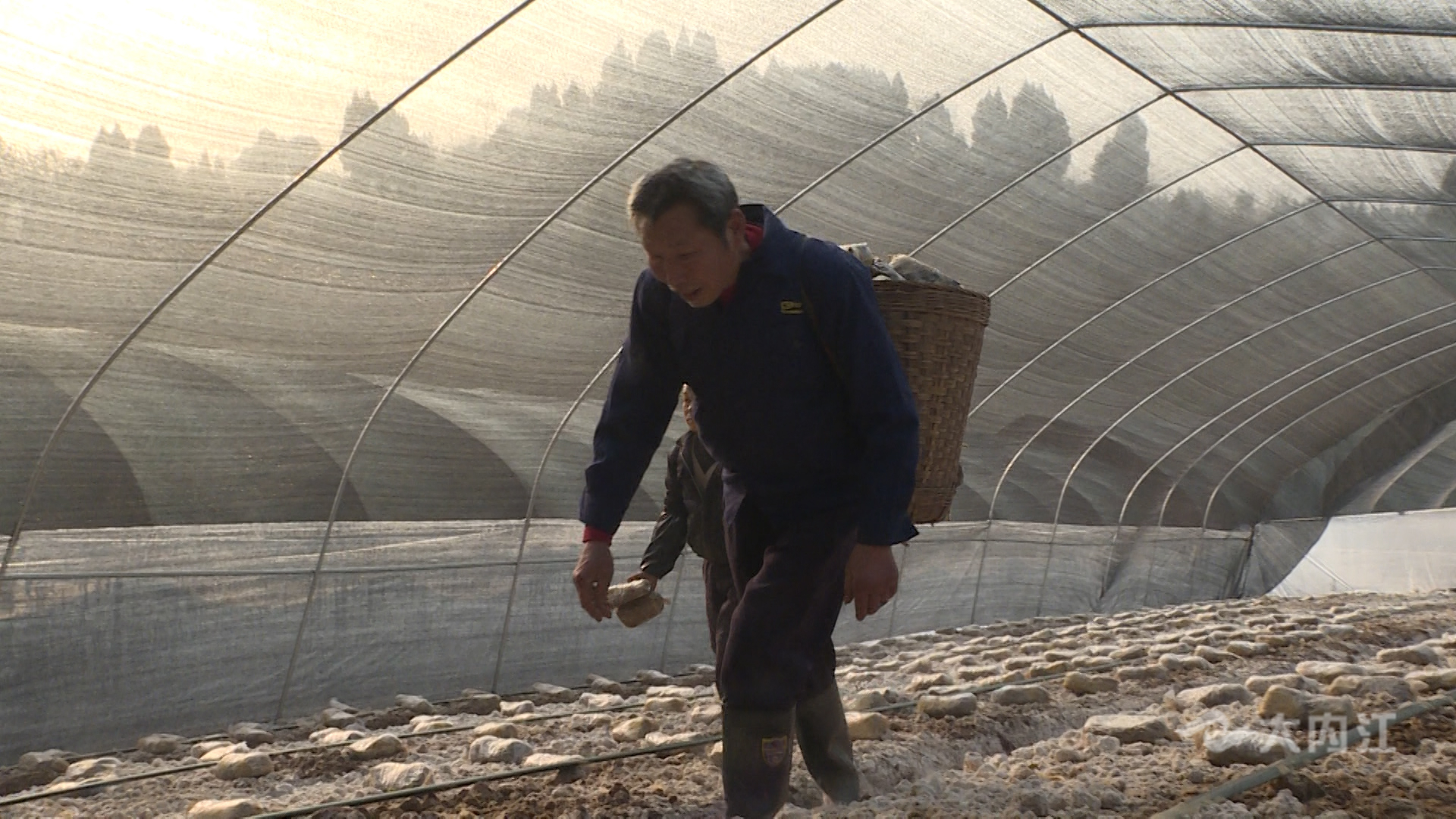 微信图片_20220121153327.jpg