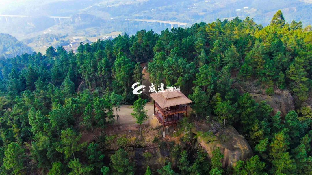 269955_1644223243187187.jpg 微信图片_20220207164007.jpg