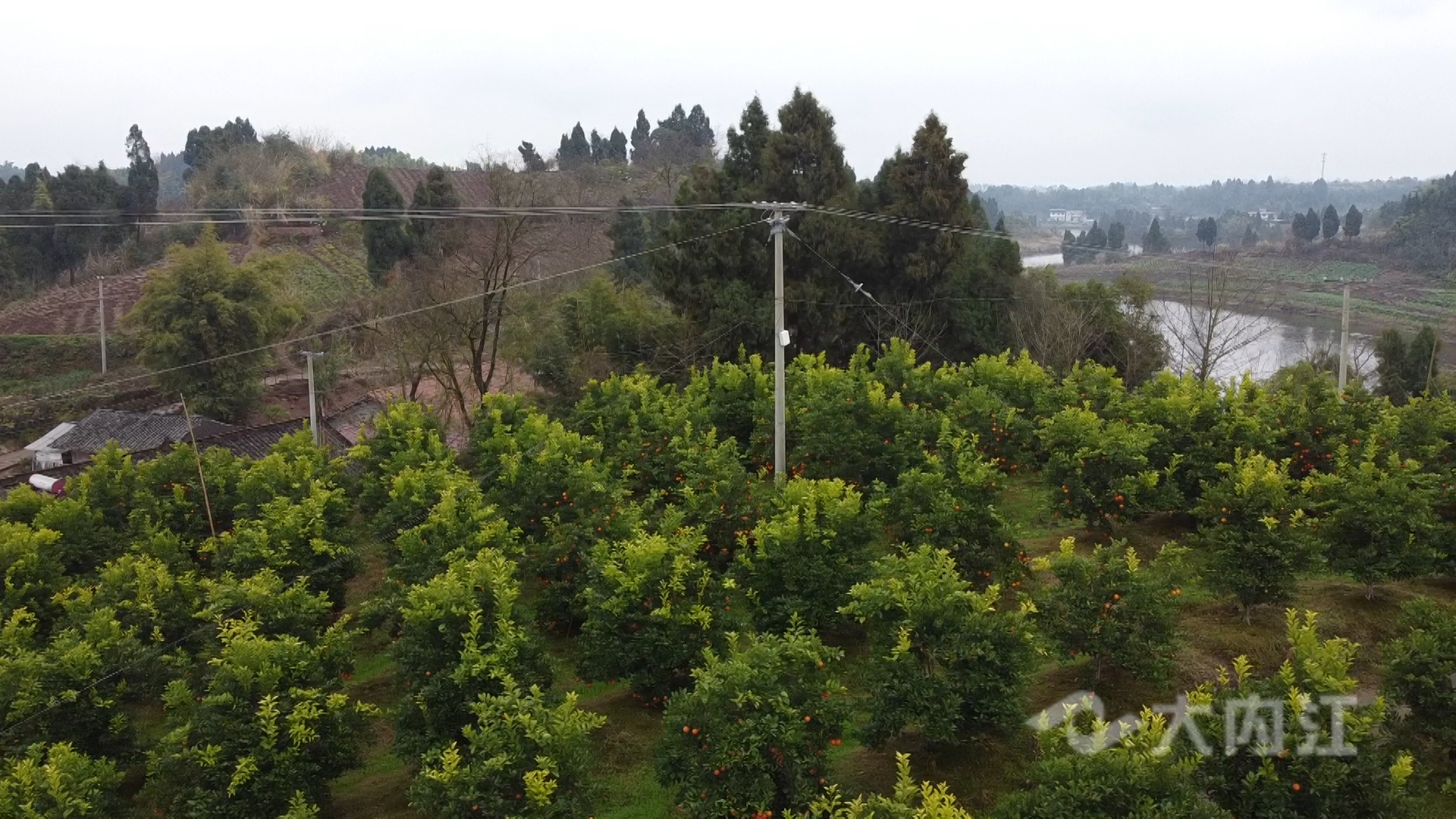 281876_1643771511737008.jpg 新媒体 首席技师彭波.00_00_11_12.静止007.jpg