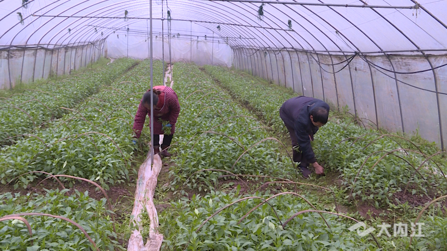 281876_1644641337408700.png 微信图片_20220212124817.png