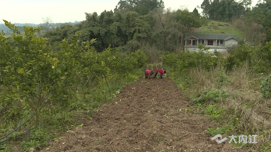 281876_1644641344351903.png 微信图片_20220212124826.png