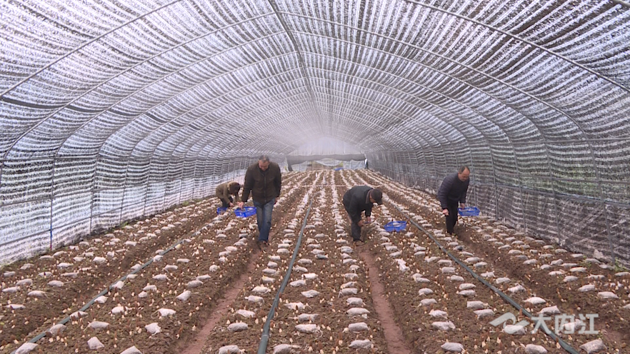 281876_1644641350229572.png 微信图片_20220212124828.png